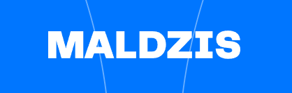 Вучыся ў летняй школе MALDZIS!
